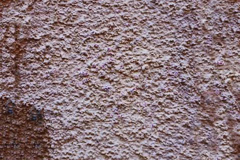The rough surface of an old wall damaged by time and weather. Stock Photos
