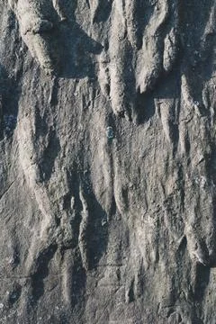 Rough surface old wall, fine granite stone mixed with biton mortar, textured  Stock Photos