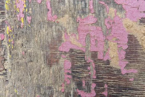 Rough surface of wood panel with deep cracks and cracked peeling pink paint a Stock Photos