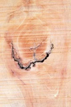 Rough surface of wood with rings Foto stock