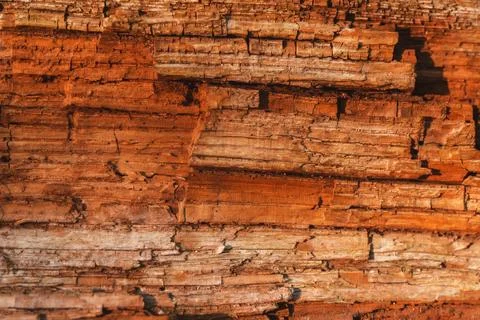 Rough texture of decayed rotting oak tree wood stump Stock Photos