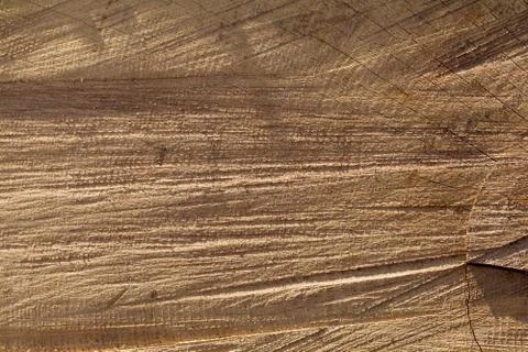 Rough Texture Oak Stock Photos