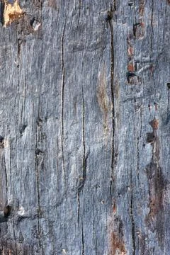 Rough texture of old darkened sawn wood Stock Photos