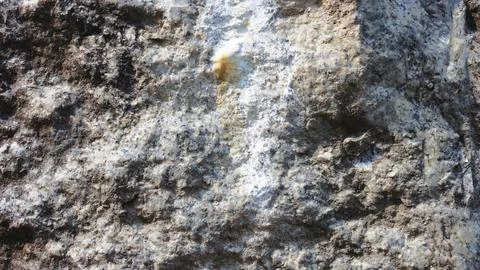Rough texture of organic stone. Stock Photos