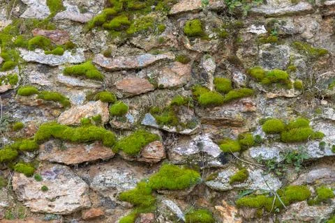Rough texture of very old weathered stone wall with traces of time and moss.. Stock Photos
