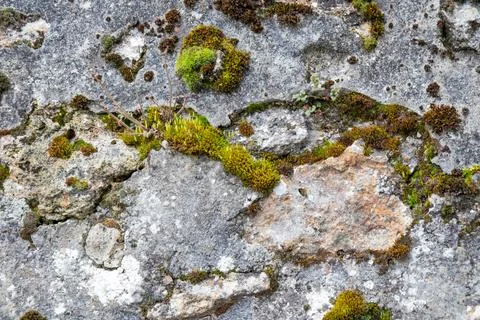 Rough texture of very old weathered stone wall with traces of time and moss.. Stock Photos