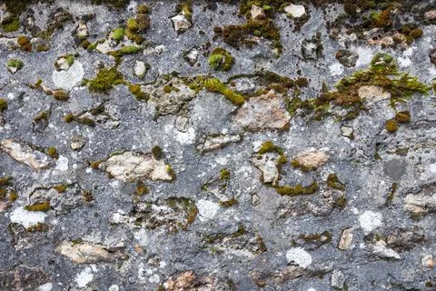 Rough texture of very old weathered stone wall with traces of time and moss.. Stock Photos
