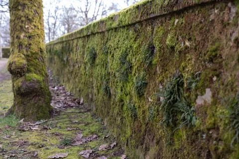 Rough texture of very old weathered stone wall or fence with traces of time a Foto stock