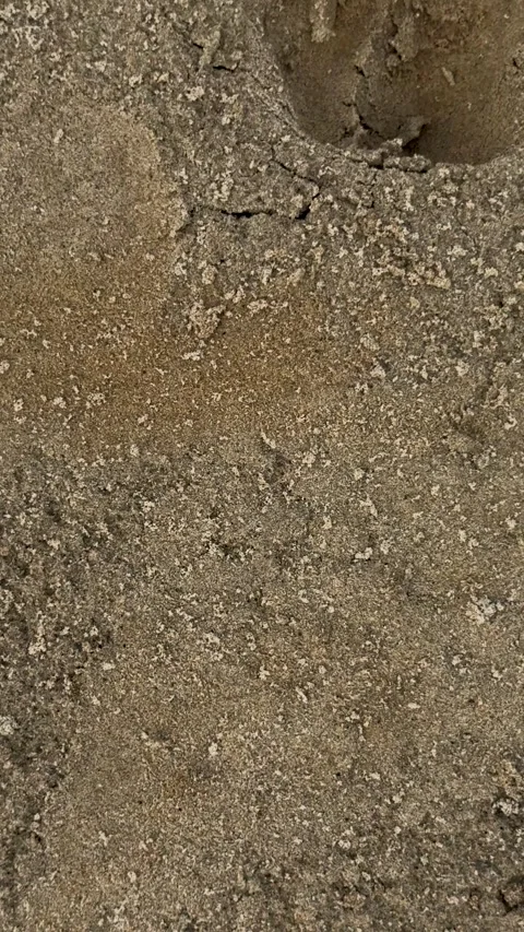 Rough textured concrete surface with small pebbles and subtle color variati.. Stock Footage 338414642