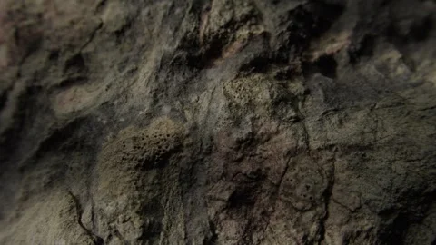 Rough textured dark rock with weathered surface Stock Footage 287876355
