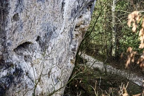 Rough textured limestone cliff face with a forest path winding through bare.. Stock Photos