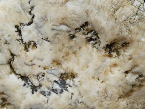 Rough textured stone with indentations on the surface Stock Photos