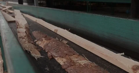 Rough timber boards move along industrial conveyor for processing, revealing 스톡 동영상 346317423