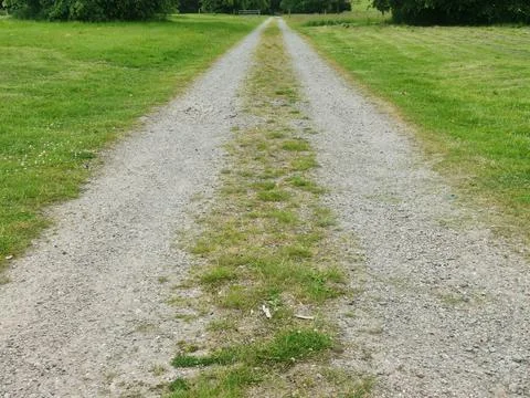 Rough track through coarse grass field leading into the distance Stock Photos