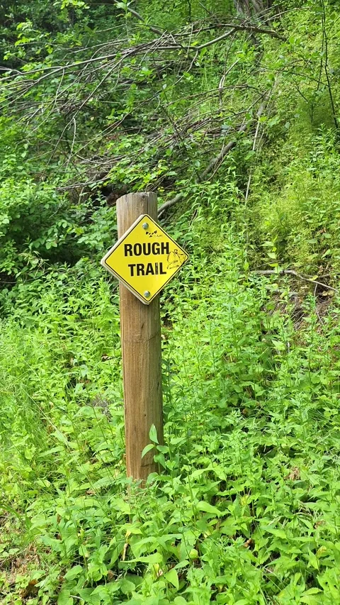 Rough Trail Sign Alongside Hillside Carpeted Green Understory Path Stock-Footage 338255744