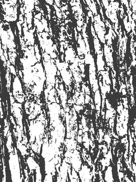 Rough Tree Bark Texture With Deep Vertical Grooves Stock Illustration