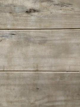 Rough Tree Bark Texture - Natural Longan Wood Pattern Background 스톡 사진