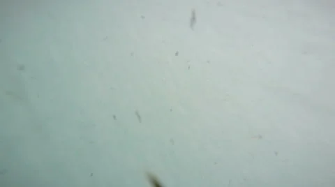 Rough underwater motion Stock Footage 55389133