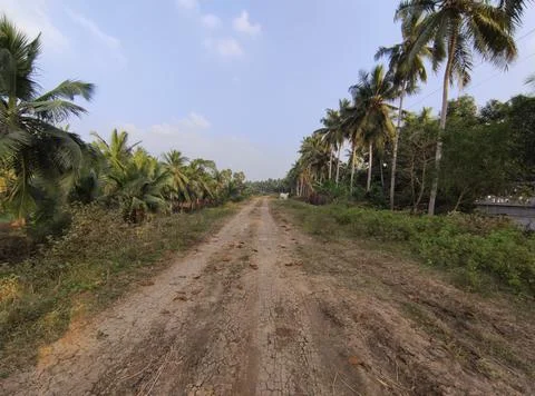 A rough village road Stock Photos