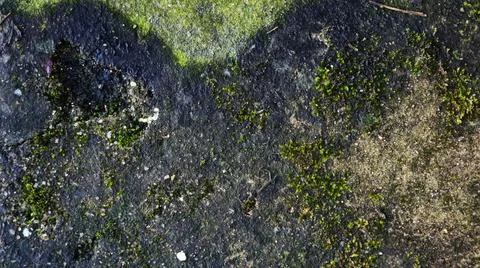 Rough Wall Stock Photos