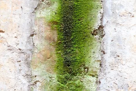 Rough wall texture Stock Photos