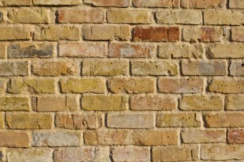 Rough wall texture Stock Photos