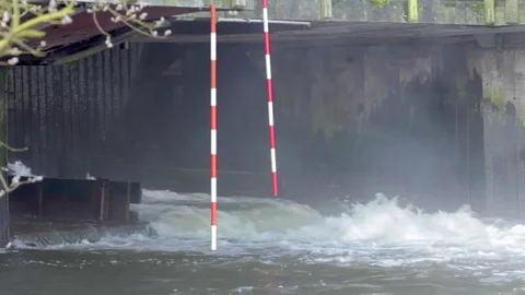 Rough Water Flow Stock Footage 81956926