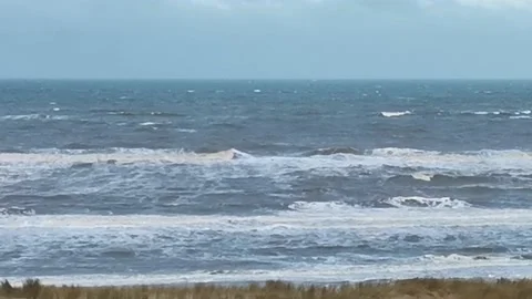 Rough waves of the North sea close to the beach with beach grass in foreground Video stock 196857468