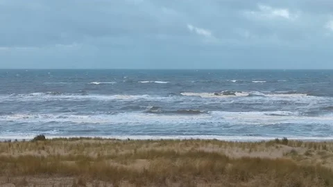 Rough waves of the North sea close to the beach with beach grass in foreground Stock Footage 196857524