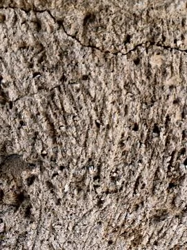 Rough Weathered Clay Texture Background With Cracks Stock Photos