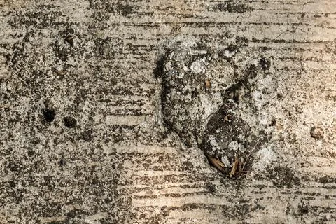 Rough Weathered Concrete Texture with Damaged Pothole Surface 库存照片