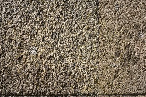 Rough weathered concrete wall texture with gritty sand surface and natural .. Stock Photos