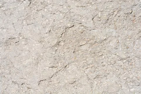 Rough weathered natural stone surface with fossil shells texture Stock-Fotos