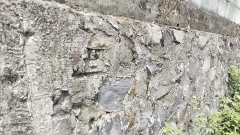 Rough Weathered Stone Wall with Moss and Lichen Stock Footage 346194473