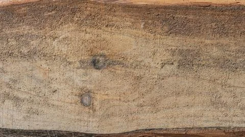 Rough Weathered Wood Texture Background with Natural Grain and Knots Photos
