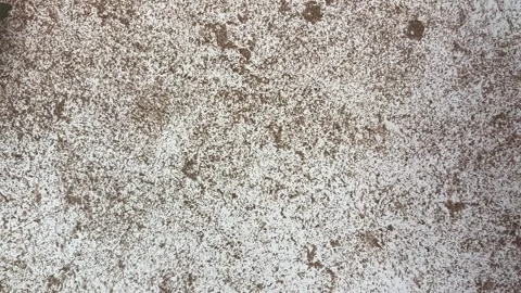 Rough Off-white Concrete Wall Texture Background Stock Footage 332321020