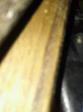 Rough wood background with different elements and dark illumination Stock Photos