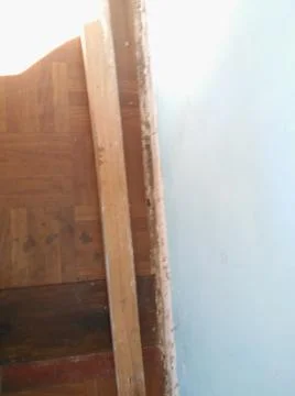 Rough wood background with different elements and dark illumination Foto stock