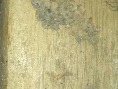 Rough wood background with different elements and dark illumination Stock Photos