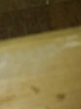 Rough wood background with different elements and dark illumination Foto stock