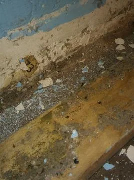 Rough wood background with different elements and dark illumination Foto stock