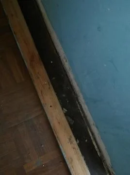 Rough wood background with different elements and dark illumination Foto stock