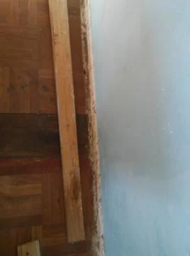 Rough wood background with different elements and dark illumination Foto stock