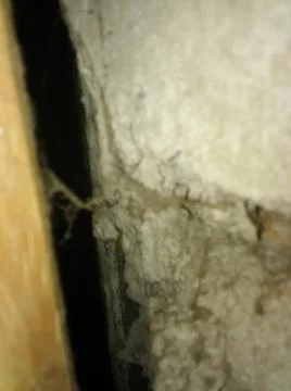 Rough wood background with different elements and dark illumination Stock Photos