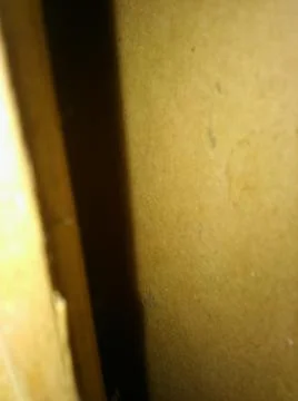 Rough wood background with different elements and dark illumination Foto stock