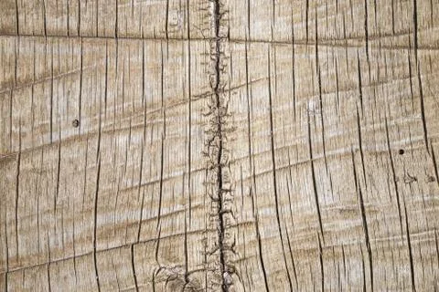 Rough Wood Background Stock Photos