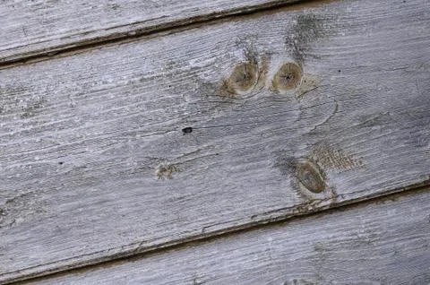 Rough wood texture Stock Photos