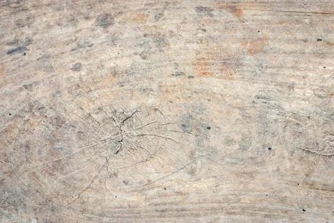 Rough wood texture Фото