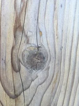 Rough wood texture Stock Photos