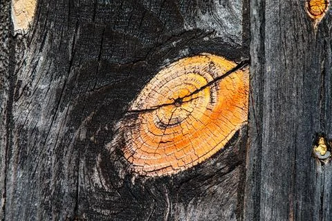 Rough Wood Texture Stock Photos